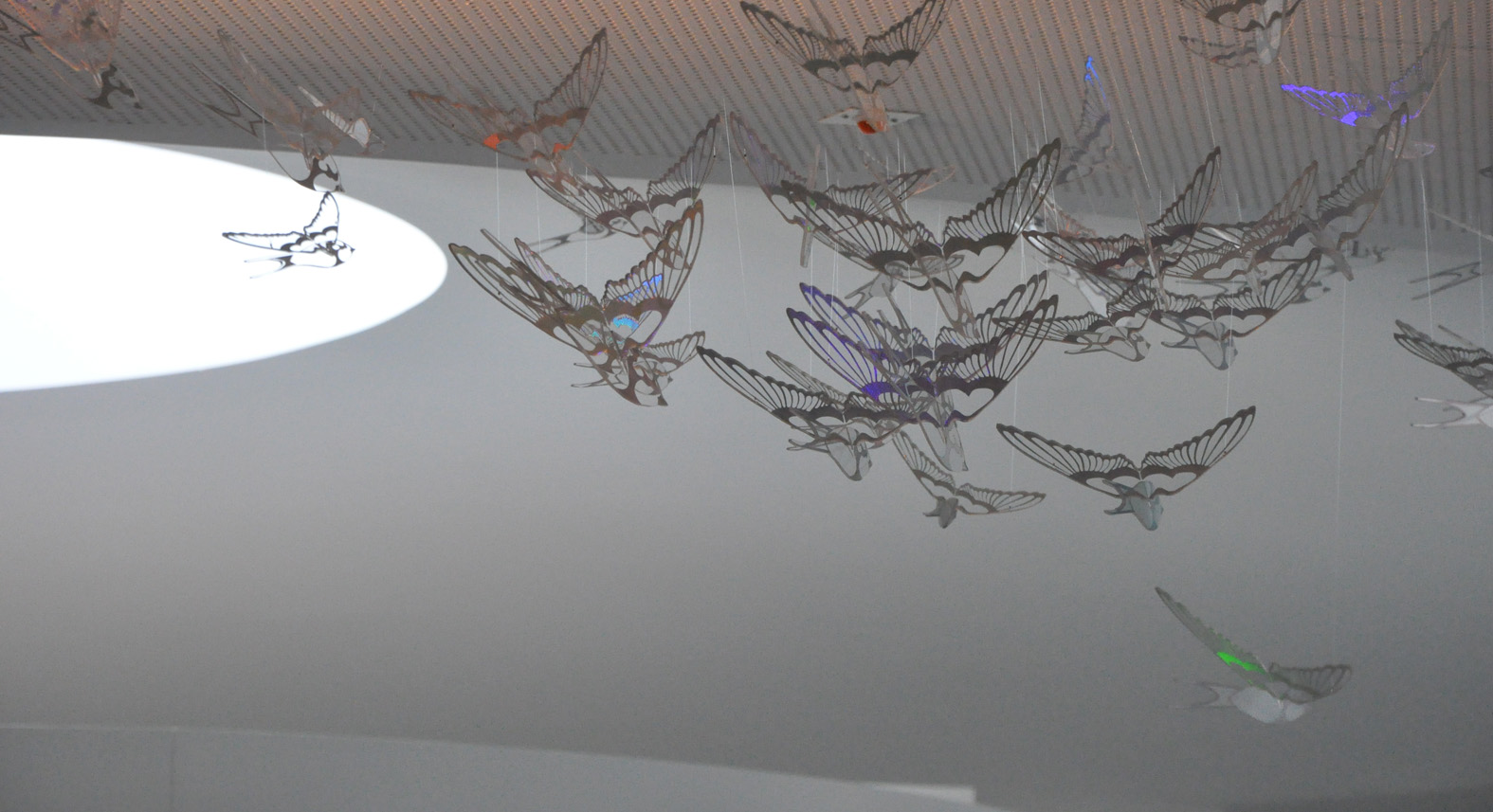 “Innovative use of curves and colour set this design apart”
